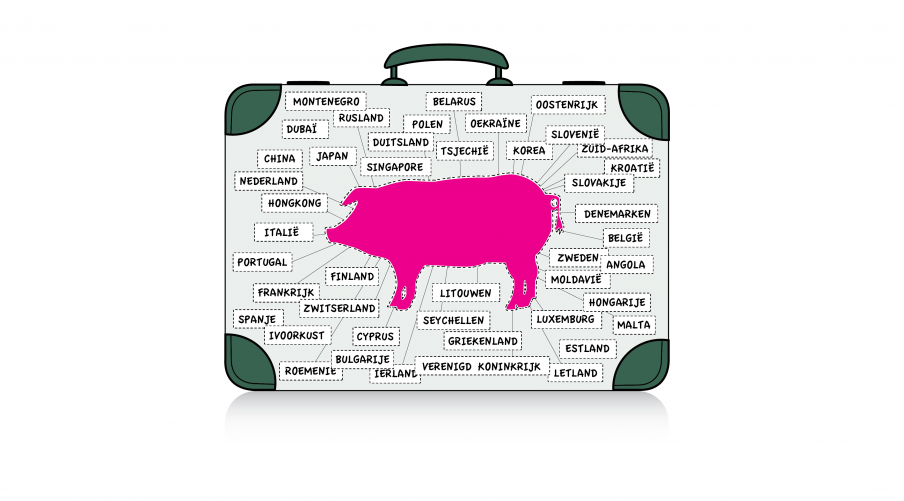 tekening van varken op valies